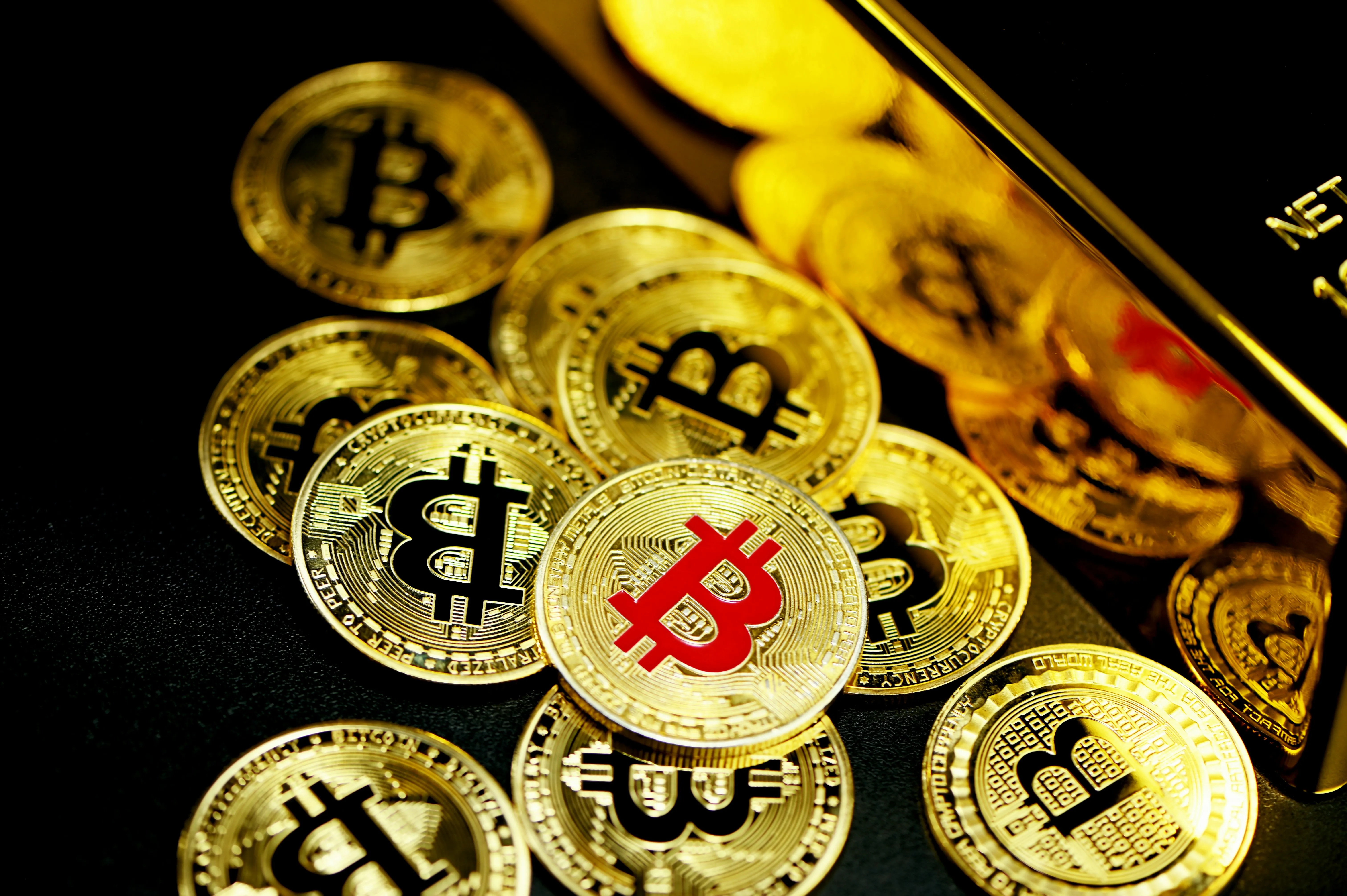 Phân tích phong độ gà đá tại 789club ảnh